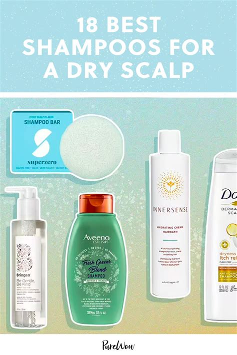 The Best Dry Scalp Shampoos - balustradellc