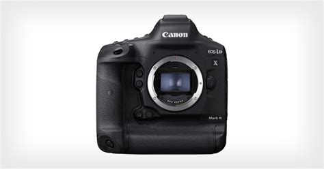 The best DSLR cameras in 2026 | Wex Photo Video - balustradellc
