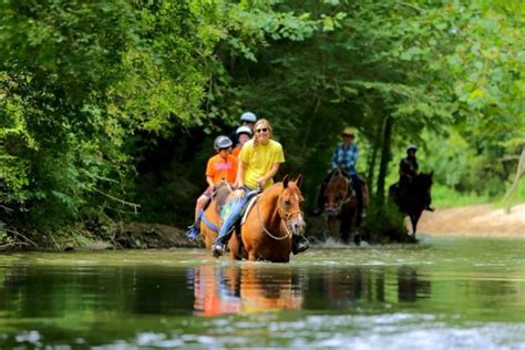 THE BEST Dillard Horseback Riding Tours (with Photos) - Tripadvisor