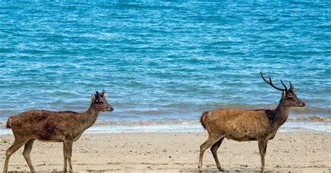 The Best Ecotourism Experiences in Indonesia's Islands - balustradellc
