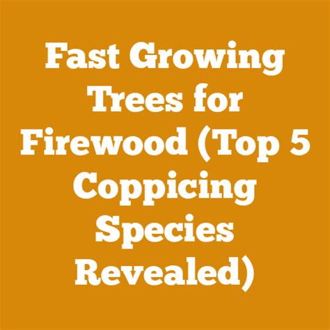 The Best Fast Growing Trees for Firewood - My … - raincitystudios.com