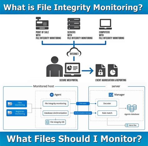 The Best File Integrity Monitoring Software for Businesses - coolestguyplanet.net