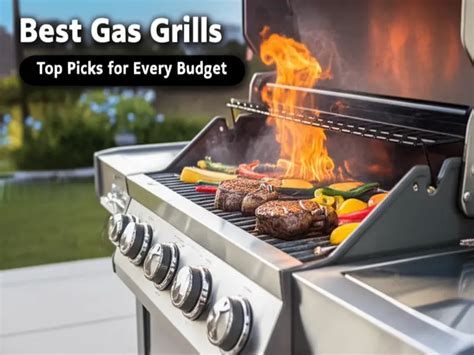 The Best Gas Grills for Every Budget - HGTV - balustradellc