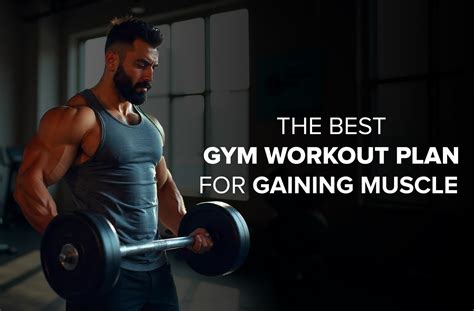The Best Gym Workout Plan For Gaining Muscle - balustradellc
