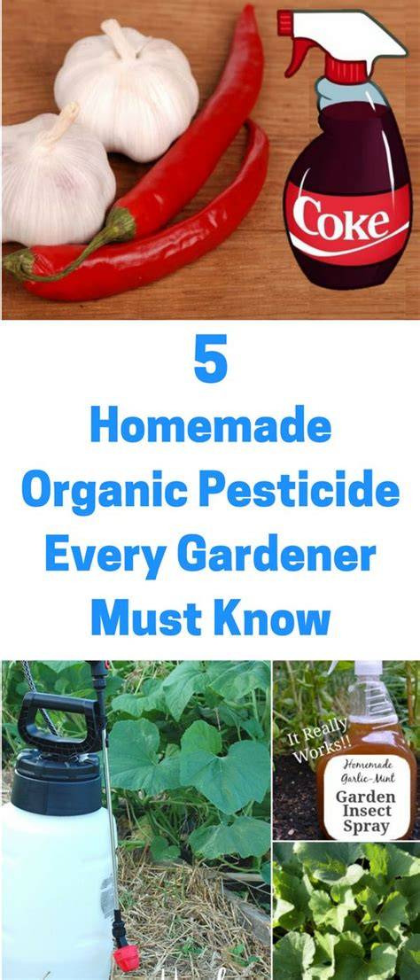 The Best Homemade Pesticide Every Gardener Should Know - raincitystudios.com