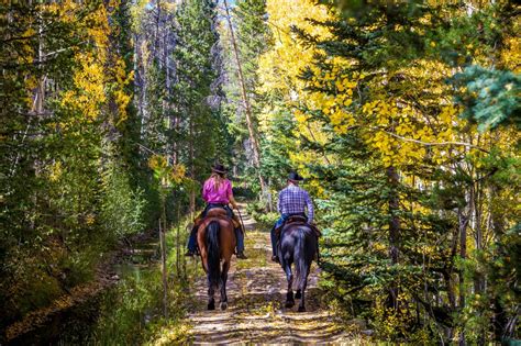 The Best Horse Ranch Vacations | Top50 Ranches - balustradellc