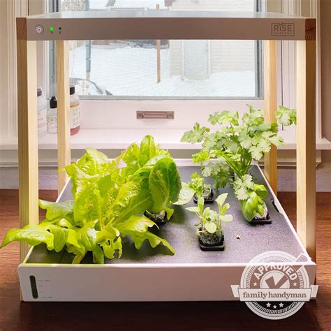 The Best Hydroponic Garden Kits | The Family Handyman - balustradellc