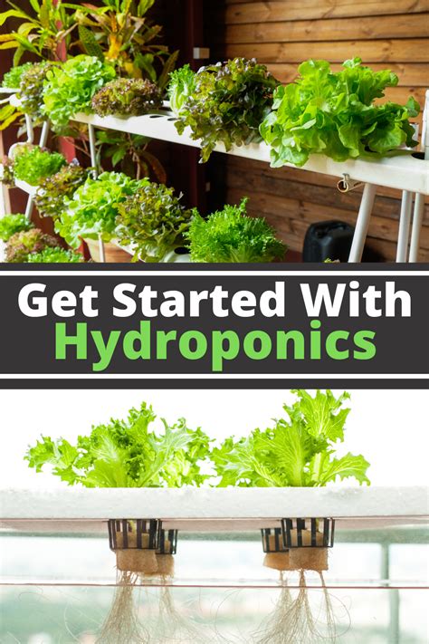 The Best Hydroponic System for Beginners - Tips and … - balustradellc