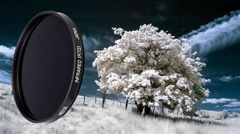 The best infrared filter | Digital Camera World - balustradellc