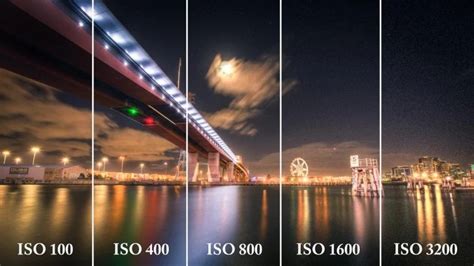 The Best ISO Settings For Amazing Low Light Photography - balustradellc