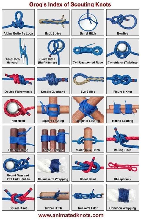 The Best Knot for Camping and Bushcraft Survival - balustradellc