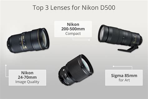 The Best Lenses for the Nikon D500 (2026) - balustradellc