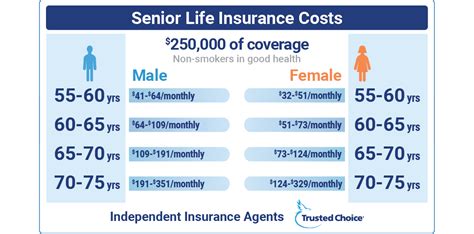 The Best Life Insurance for Seniors in 2026 - balustradellc