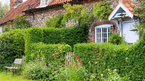 The best living fence plants, according to experts - raincitystudios.com