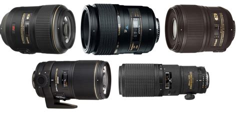 The Best Macro Lenses for Nikon - Photography Life - balustradellc