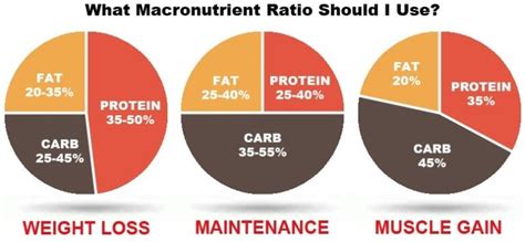 The Best Macros for Building Muscle and How to Calculate Them - balustradellc