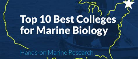 The Best Marine Biology Colleges and Summer Programs - raincitystudios.com