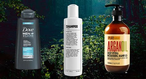 The Best Moisturizing Shampoos for Men - Orlando … - balustradellc