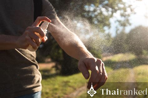 The Best Mosquito Repellents in Thailand | Thairanked - balustradellc