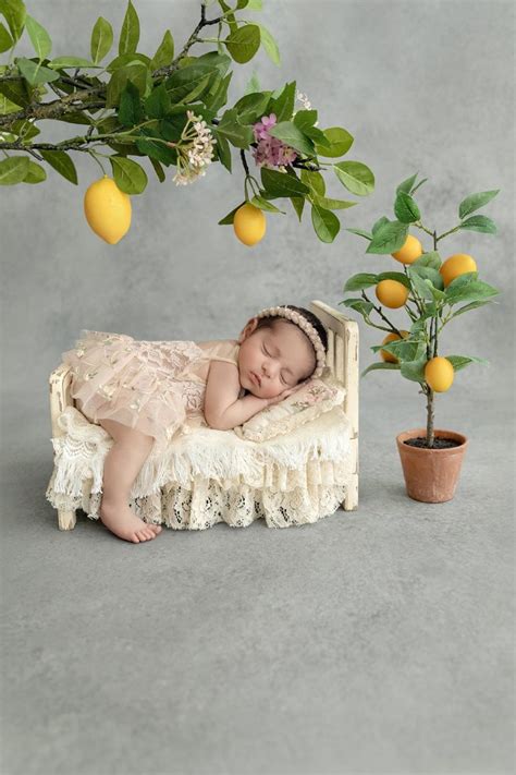 The Best Newborn Photography Ideas for Professional ... - Zenfolio - balustradellc