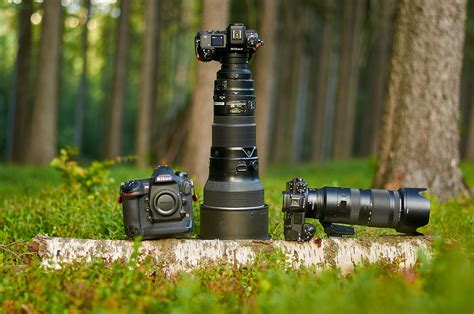 The Best Nikon Cameras for Wildlife Photography (2026) - balustradellc