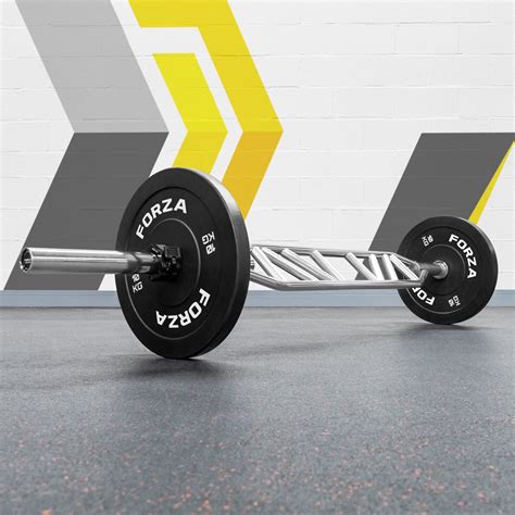 The Best Olympic Barbells for Home and Commercial Gyms - balustradellc