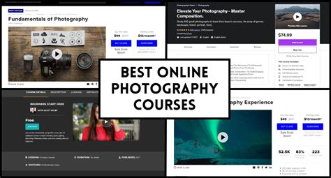 The Best Online Photography Courses for Beginners - balustradellc