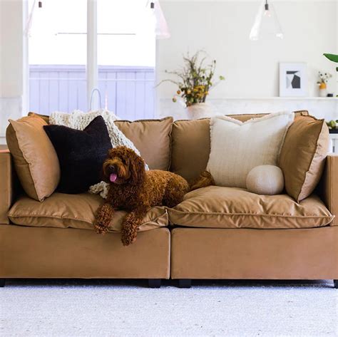 The Best Pet-Friendly Couches of 2026 - HGTV - balustradellc