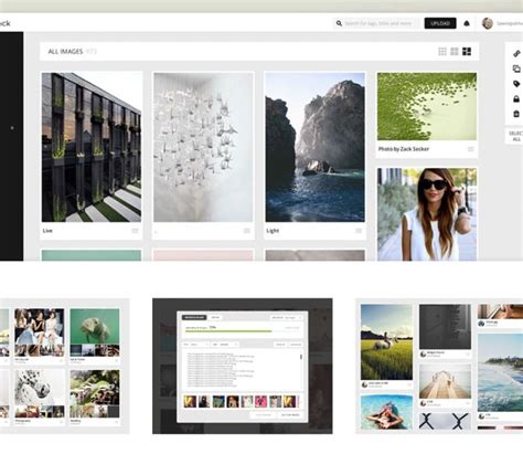 The best photo storage and sharing sites in 2025 - balustradellc