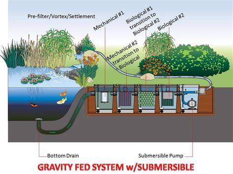 The Best Pond Filtration Systems - How To Keep Your Koi Pond … - raincitystudios.com