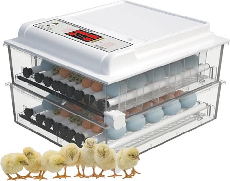 The Best Poultry Egg Incubators | ShopinHive - balustradellc