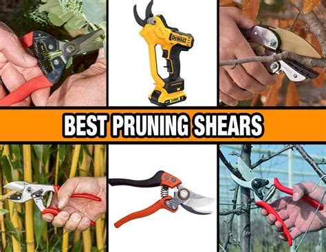 The Best Pruning Shears of 2024 | Garden Gate - balustradellc