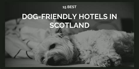 THE BEST Pet Friendly Hotels in Erwin of 2024 (with Prices ...