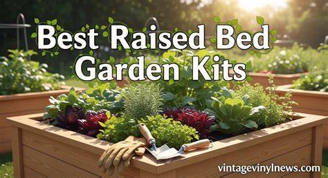 The Best Raised Garden Bed Kits - raincitystudios.com