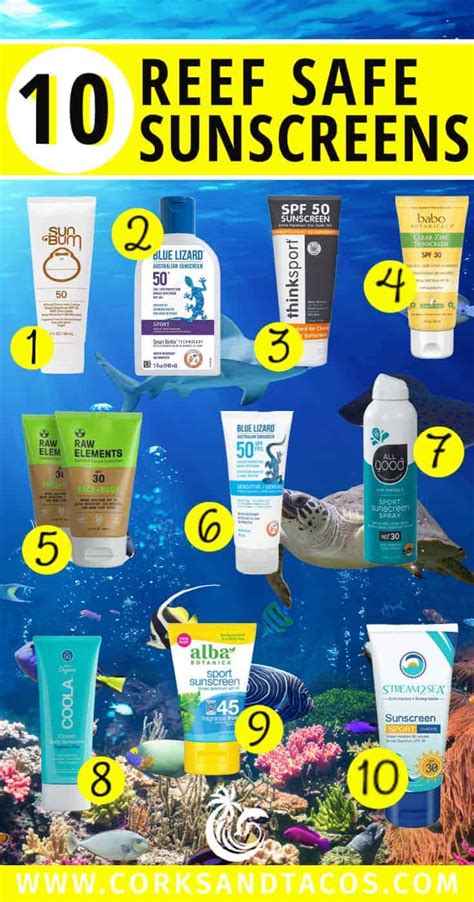 The Best Reef-Friendly Sunscreens That Protect Your … - balustradellc