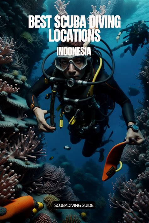 The Best Scuba Diving in Indonesia – Top Sites 2023 - balustradellc