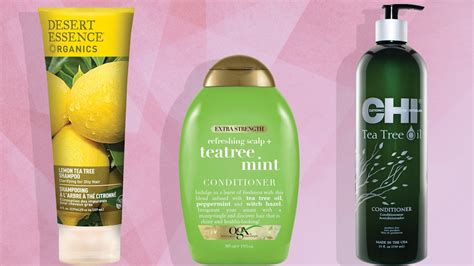 The Best Shampoos for Oily Hair to Stretch Your Wash … - balustradellc