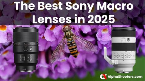 The Best Sony Macro Lenses in 2026 - Alpha Shooters - balustradellc