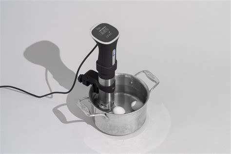 The best sous vide machines for the experimental … - balustradellc