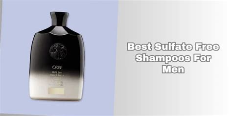 The Best Sulfate-Free Shampoos for Men in 2025 - balustradellc