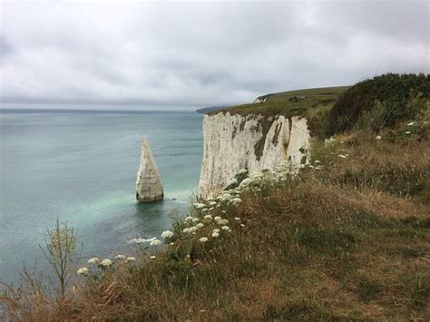 THE BEST Swanage Visitor Centers (with Photos) - Tripadvisor