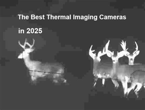 The Best Thermal Imaging Cameras in 2025 – LIBERAL - balustradellc
