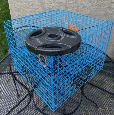 The Best Traps for Blue Crabs (Avoid Trash Traps!) - Crabbing Hub - balustradellc