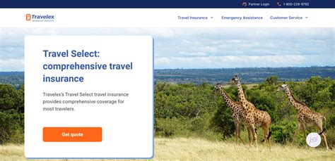 The Best Travel Insurance Options for Digital Nomads - balustradellc