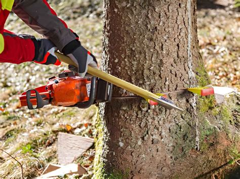 The BEST Tree Felling Wedges & Chainsaw Wedge … - balustradellc