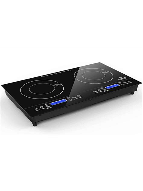 The Best Two-Burner Induction Cooktop (2024) - balustradellc