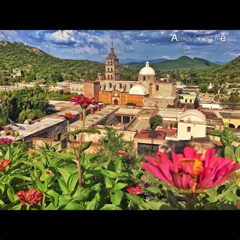 THE BEST Things to Do in Alamos - 2024 (with Photos) - Tripadvisor