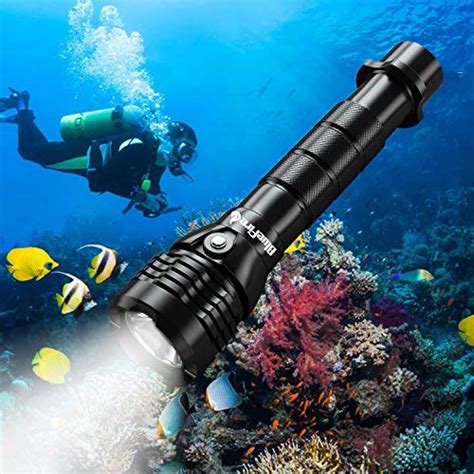 The Best Underwater Flashlights for Spearfishing - balustradellc