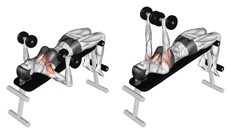 The Best Variations of the Decline Dumbbell Bench Press - balustradellc