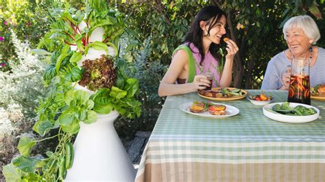 The best vertical gardens, according to experts - CNN - balustradellc